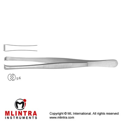 Lerche Dissecting Forcep 5 x 6 Teeth Stainless Steel, 15 cm - 6"